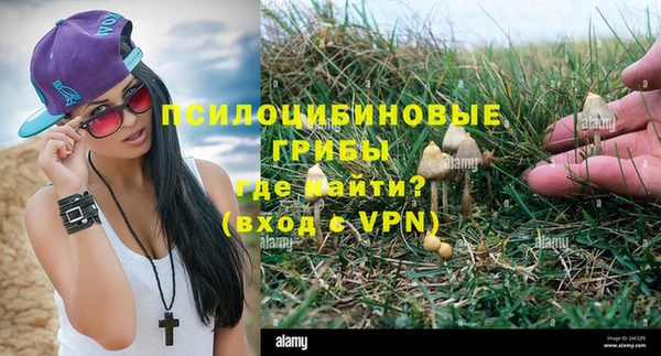 марки nbome Алексеевка