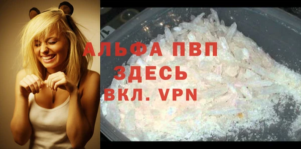 спиды Алексин