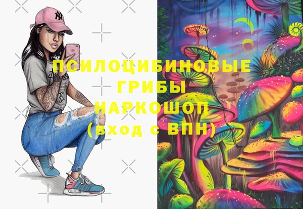МДПВ Алзамай